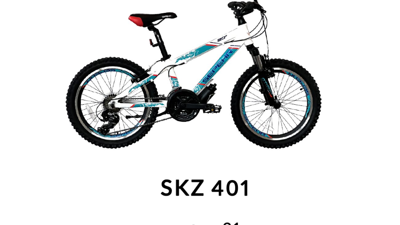شاخص SKZ 401