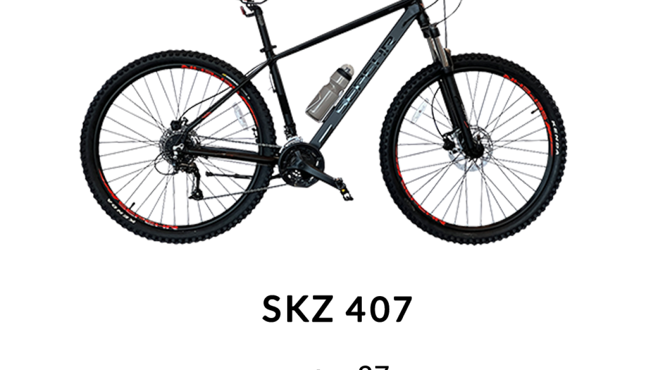 شاخص SKZ-407